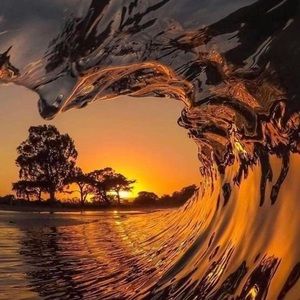 Meet your Posher, Dustin